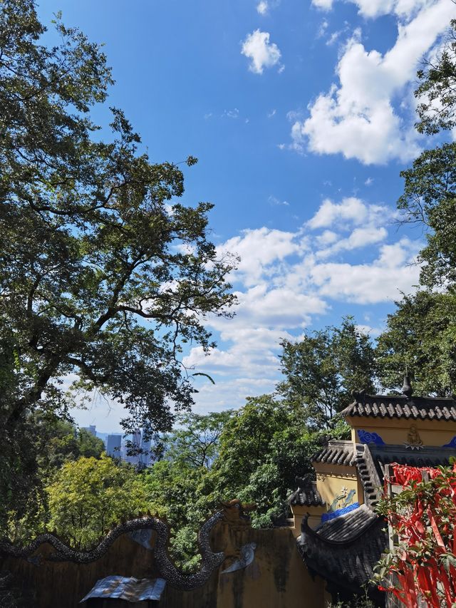 走進塗山寺，品歷史韻味享自然茶香～。