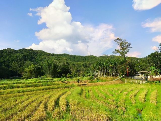 海拔最高的海南山村。
