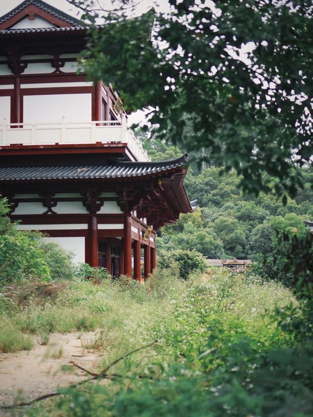 福州長樂蒲竺寺。