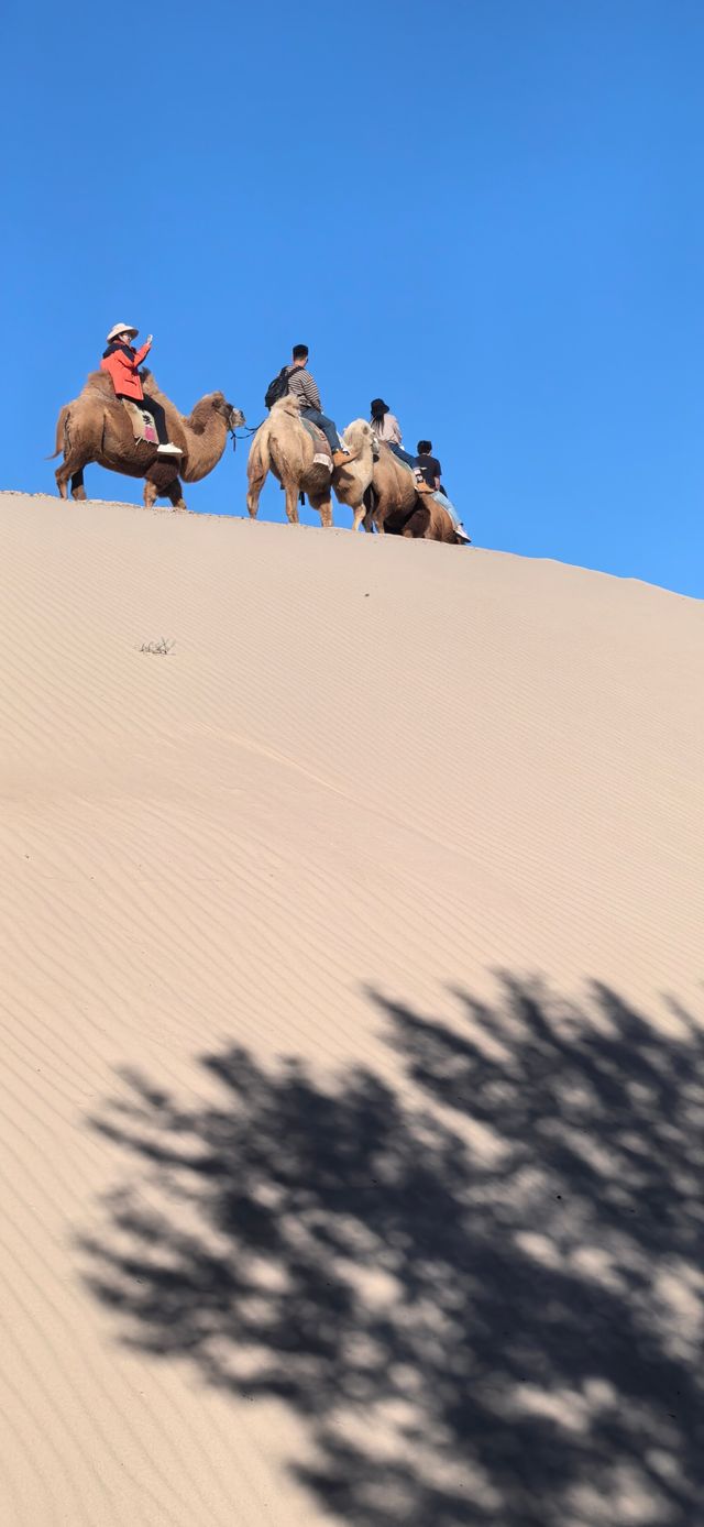 穿越自然四季，領略華夏文明——玉龍沙湖。
