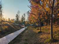 西安雁南公園：歷史遺跡上的城市綠心。