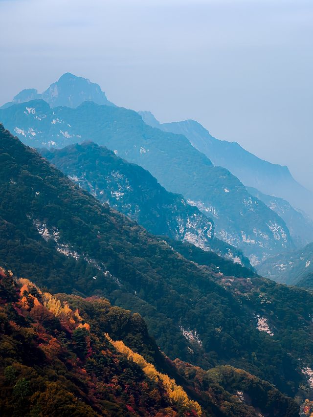 西安周邊我找到了賞秋紅葉天花板。