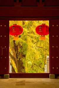 何必爬泰山，不如來玉禪寺！