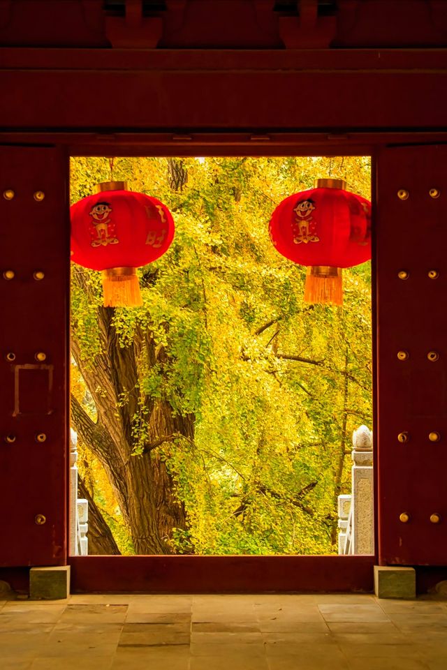 何必爬泰山，不如來玉禪寺！