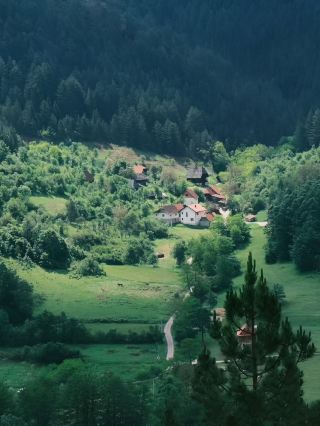 Serbia's "Altay." 