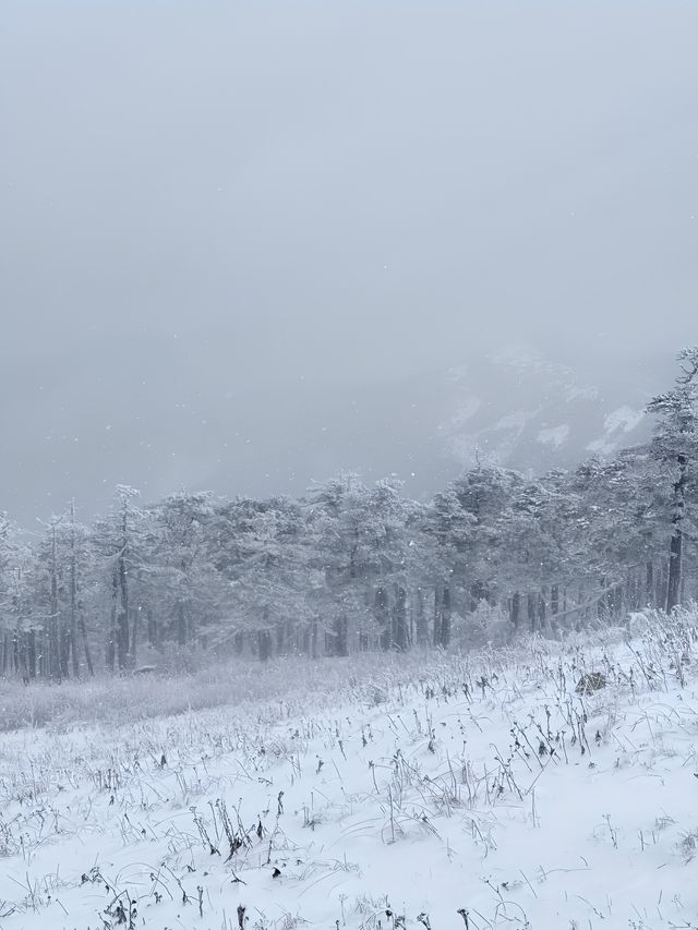 西安秦嶺東梁|雪後的東梁，如她的名字一樣別緻。