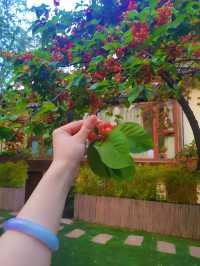 麗江束河又一居，入住皇家園林般的復古民宿。