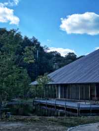 A Look Back at the 2019 Setouchi Triennale & Travel Tips