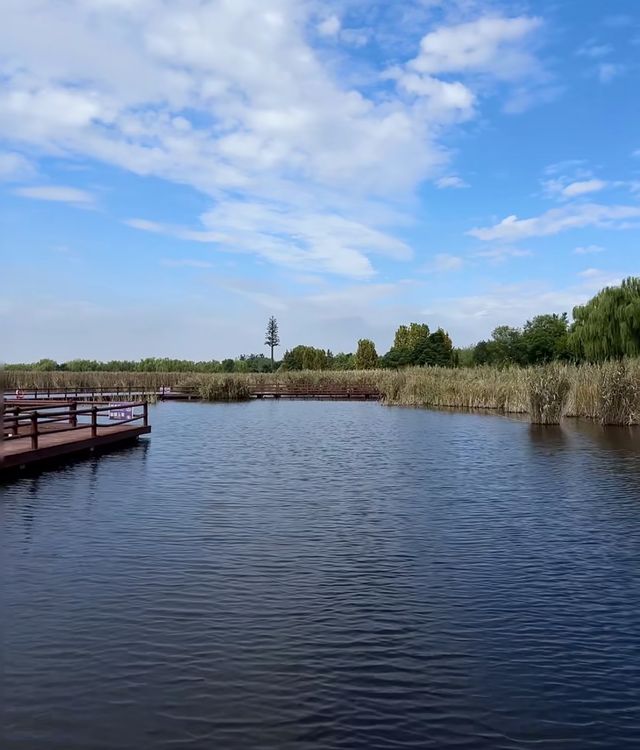 秋韻馬踏湖：金風玉露中的美食與盛景。