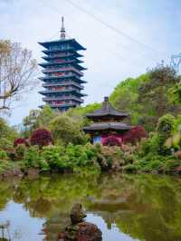 中國古代文化根深蒂固，和光同塵……。