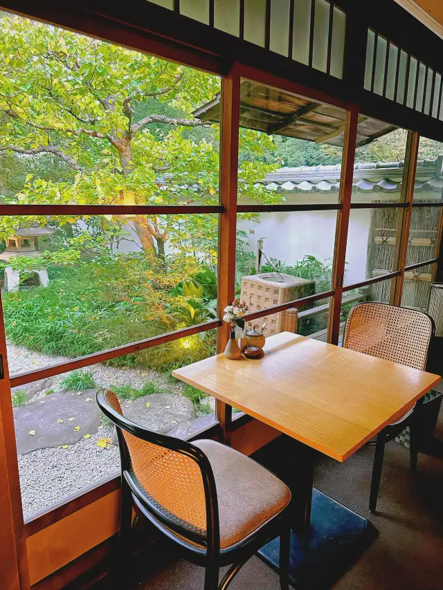 我看看是哪個大聰明現在來這裡看最美楓葉。