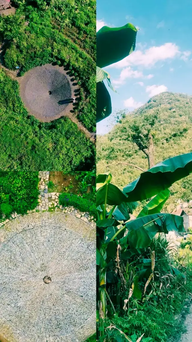原來來自於自然的景光！。