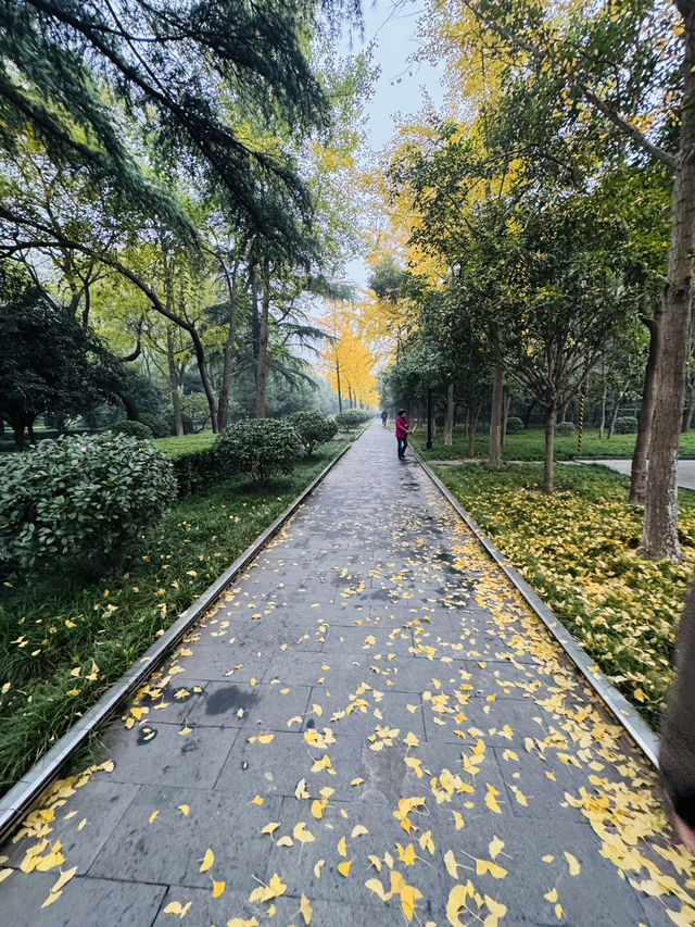 西安~唐城牆遺址公園秋景 西安~唐城牆遺址公園秋景