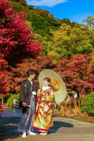 Autumn Vibes and Pine Breezes | Stroll Under the Maple Trees in Ritsurin Garden