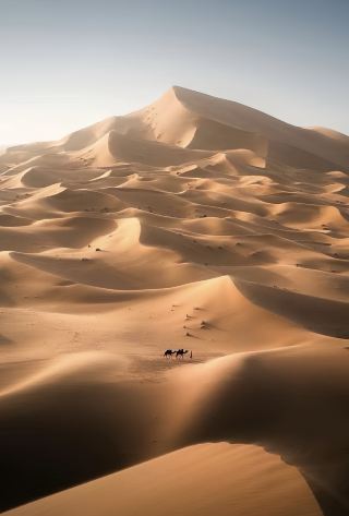 Go to the Sahara Desert