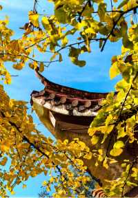 2024旅行結算｜廣東的秋天雖遲到但如約而至