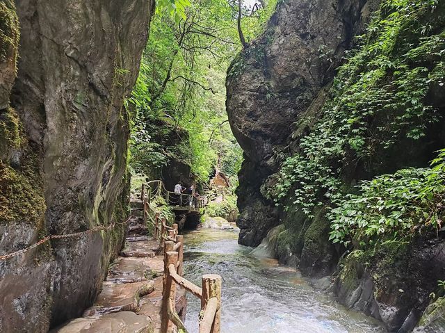 秘境哀牢山