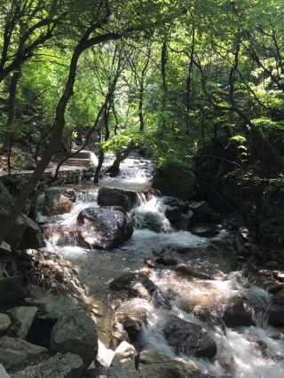 Traveling Shanxi (39) - Lingshi Hongya Canyon