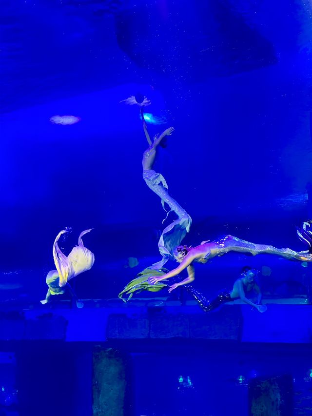 歡樂週末，與海洋動物來個親密接觸！