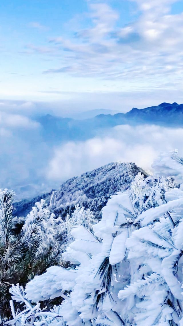 我肯定這是我最滿意的一次旅行