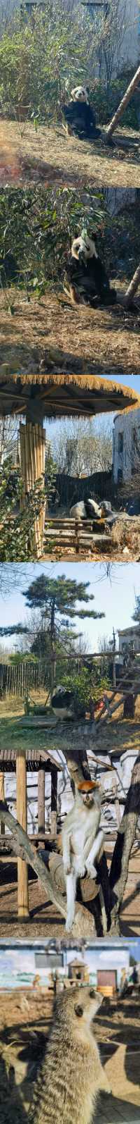 唐山｜唐山動物園&唐山博物館2024.12.15
