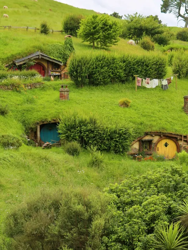 3-Day New Zealand Hot Spring Tour