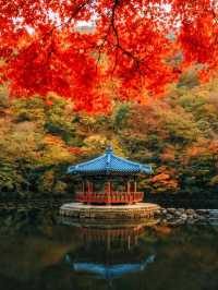 韓國清州旅行日記