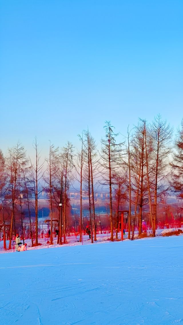哈爾濱天恒山滑雪場好玩嗎？