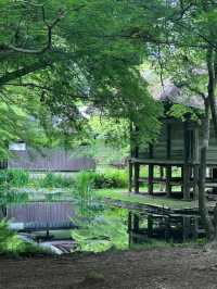8日深度遊日本 盡享溫泉之旅