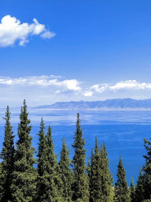 烏魯木齊-賽里木湖-伊犁｜5日暢遊 超詳細攻略速碼