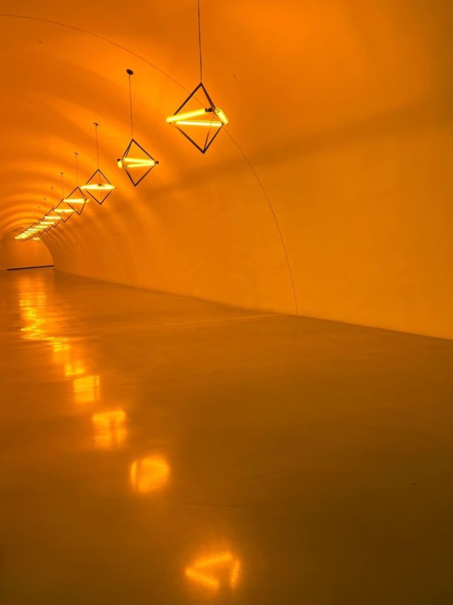 【休斯頓美術館」MFAH 】