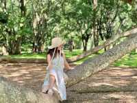 Explore the Royal Botanical Gardens in Kandy, Sri Lanka