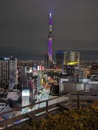 東京淺草|雷門景觀休閒酒店