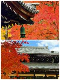 京都·南禪寺｜來京都必打卡的寶藏寺院體驗和服之美