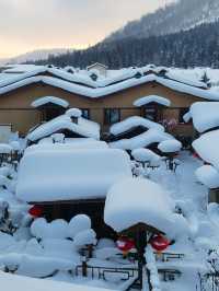 哈爾濱-雪鄉2日遊 超詳細攻略看完再出發