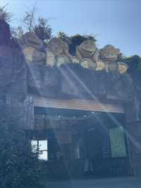 雲南野生動物園