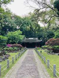 城市肺腑中的美麗畫卷| 中山公園