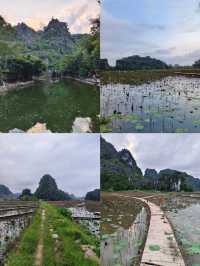 探秘寧平：越南的山水畫卷