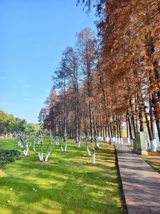 4-Day Lunar New Year Trip to Wuhan and the Three Gorges: A Detailed Guide