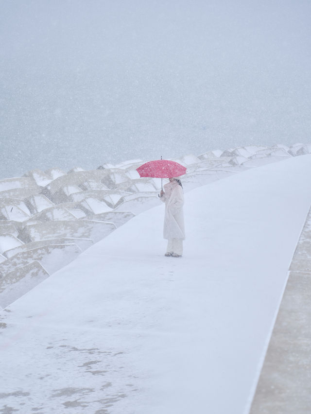 大連｜海邊雪景美翻了！附攻略！