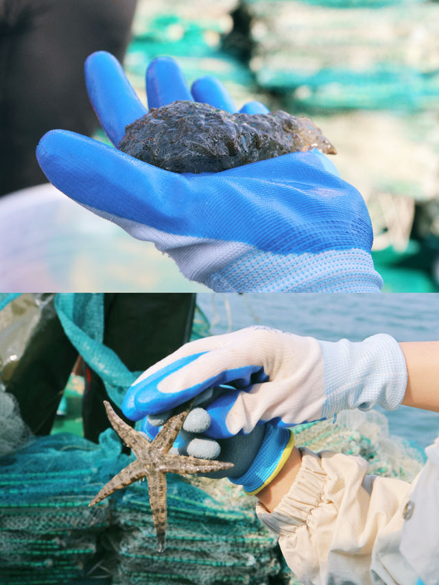 陵水出海｜海南一場特別的親子體驗