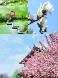 西安踏春好去處！快記低