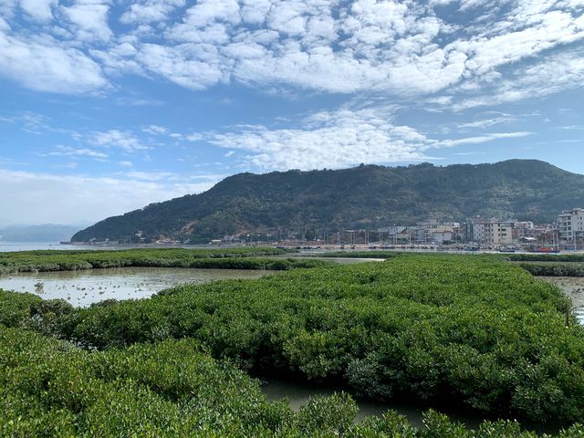 山海紅樹林