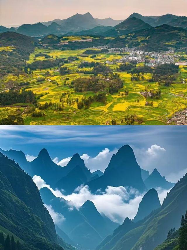 羅平受罪已回，要去的姊妹慎重。
