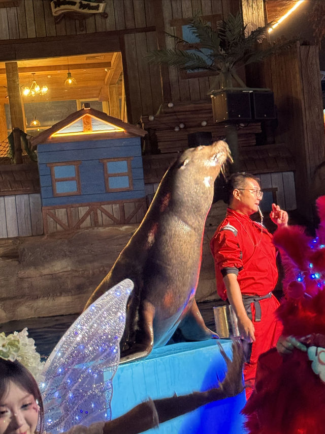 廣州海洋館親子遊全攻略