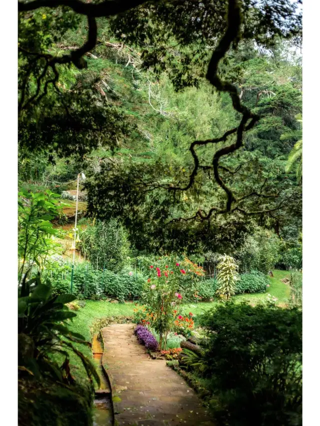 스리랑카 8일 여행 초상세 가이드 놓치지 마세요