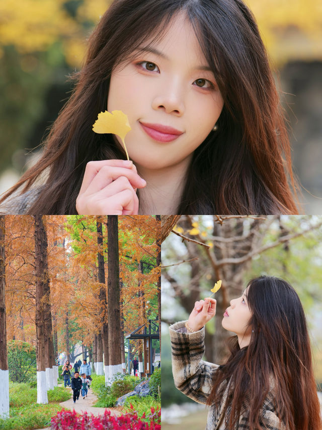 誰懂這是12月的烈士公園