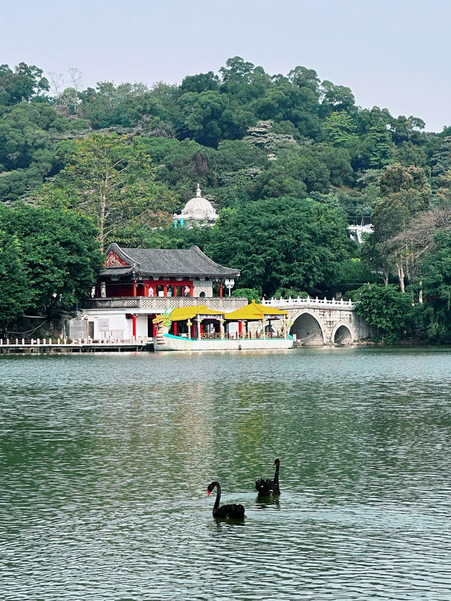 紅牆下，觸摸歷史的餘溫 - 珠海圓明新園