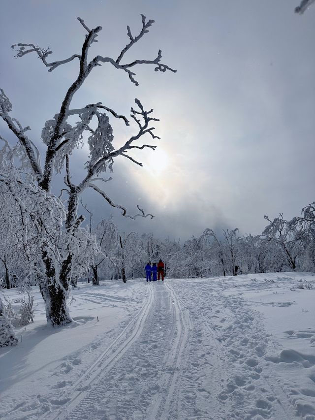 雪鄉︳冬日裡的童話世界梦幻的雪景