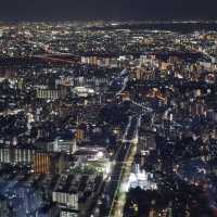 日本行| 拍了張封神照片📸 晴空下的東京塔